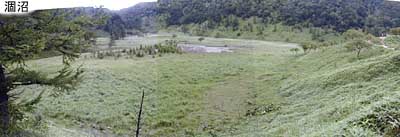 涸沼