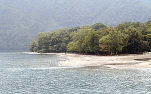 千手ヶ浜